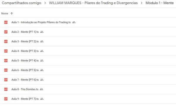 Curso pilares do trading e divergencias william marques01