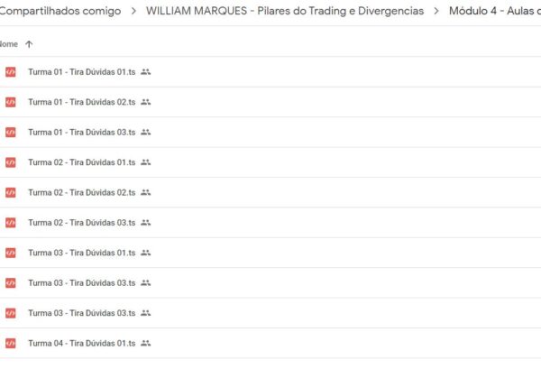 Curso pilares do trading e divergencias william marques04