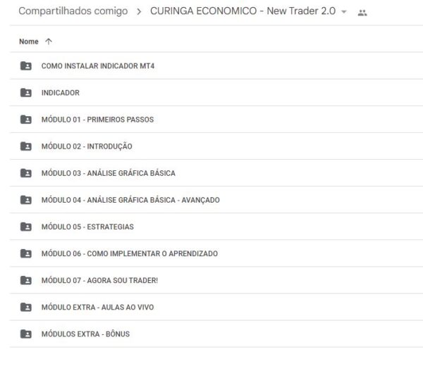 curso new trader 2.0 curinga economico