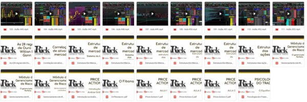 curso rick ninja trader professional download3