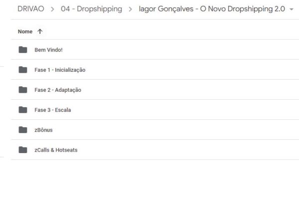 Curso O Novo Dropshipping 2.0